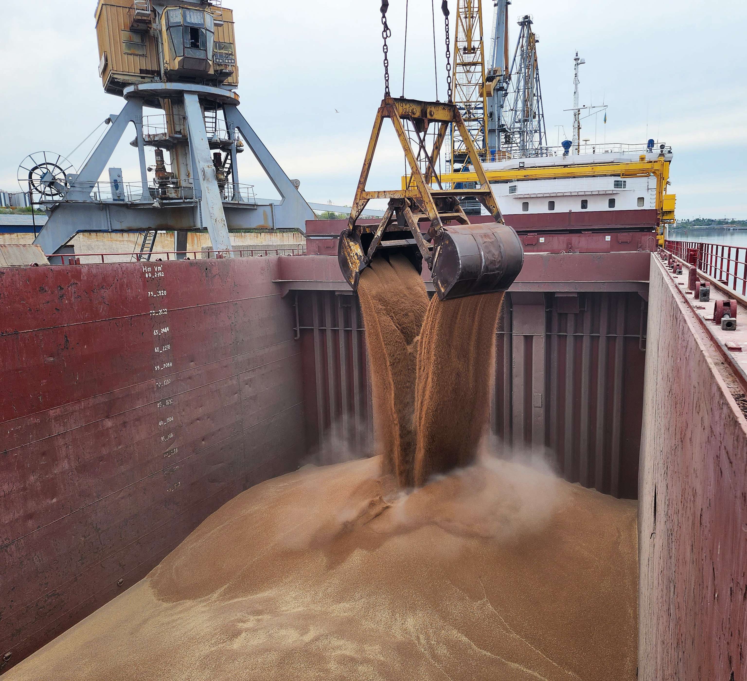 Loading of wheat in bulk into the ship's cargo hold by steel grab