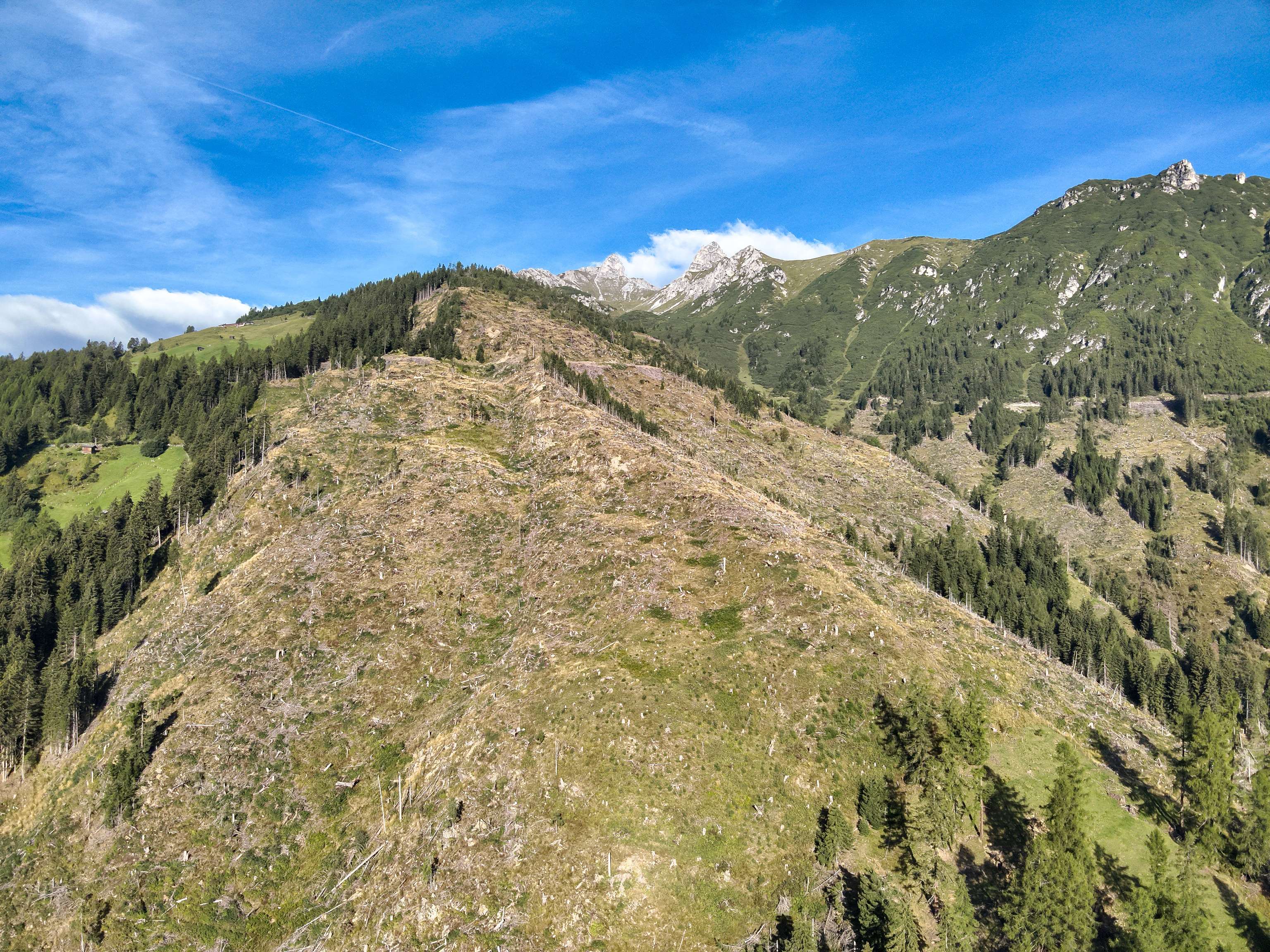 Kahler Bergrücken in den Alpen mit Nadelwäldern, grünen Hängen und schneebedeckten Gipfeln unter blauem Himmel.
