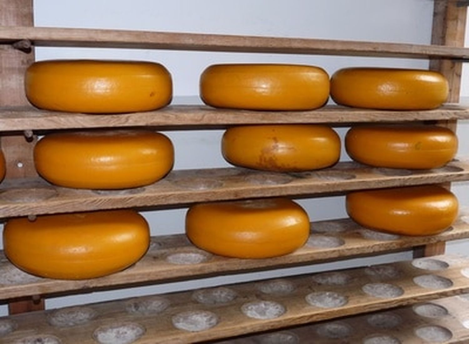 EU-Kommission will 30 Mio. Euro für die PLH von Magermilchpulver, Butter und Käse aus Restmitteln des EU-Agrarhaushalts 2020 bereitstellen.
FOTO: pixelio.de/Dieter Schütz