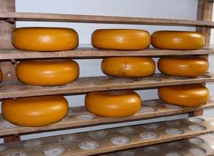 EU-Kommission will 30 Mio. Euro für die PLH von Magermilchpulver, Butter und Käse aus Restmitteln des EU-Agrarhaushalts 2020 bereitstellen.
FOTO: pixelio.de/Dieter Schütz