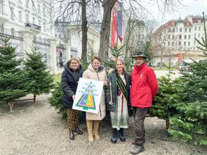 PK Christbaum Wien