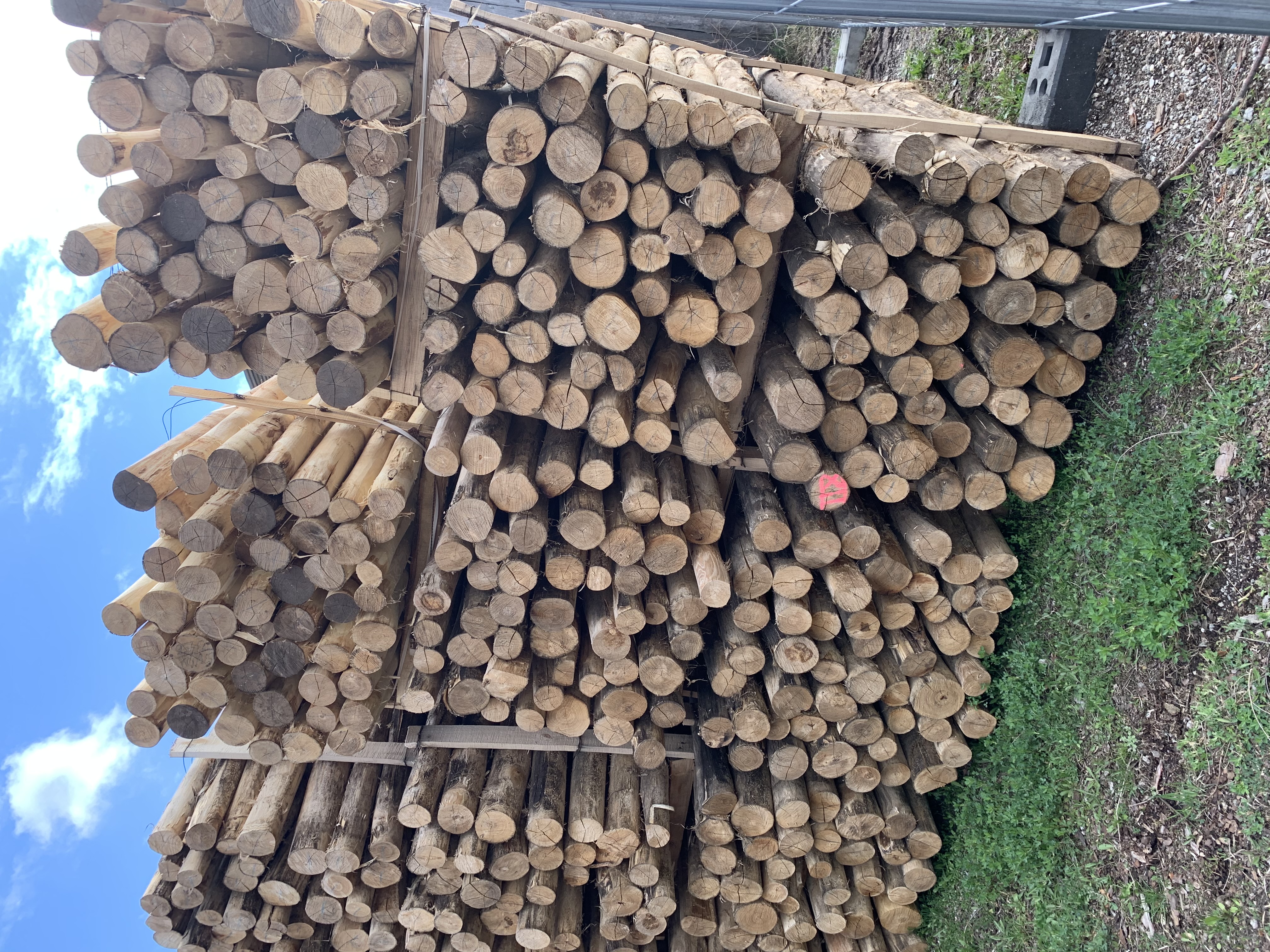 Bild 12 von Anzeige: Akazien/Robinien Pfähle