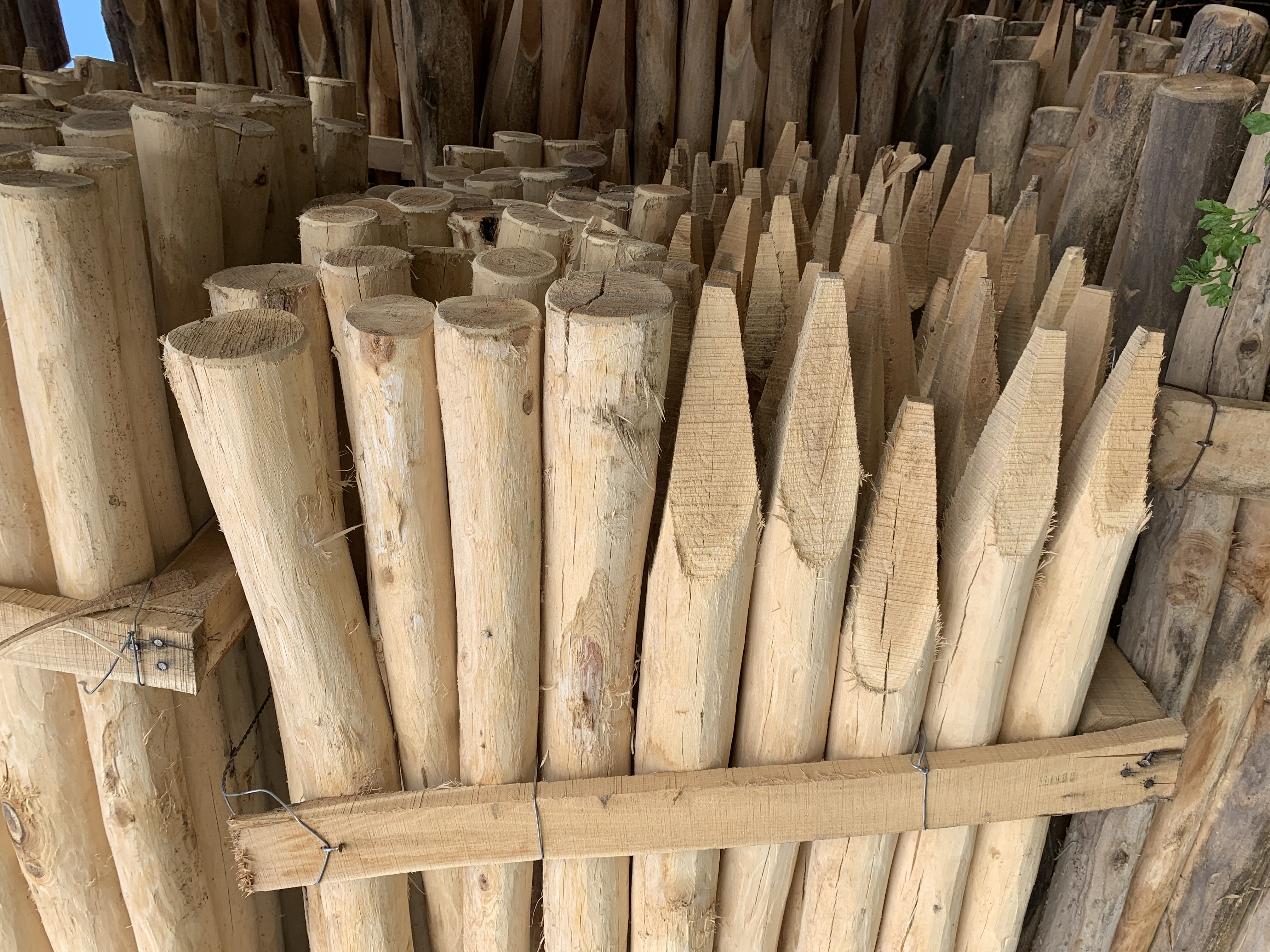 Bild 5 von Anzeige: Akazien/Robinien Pfähle