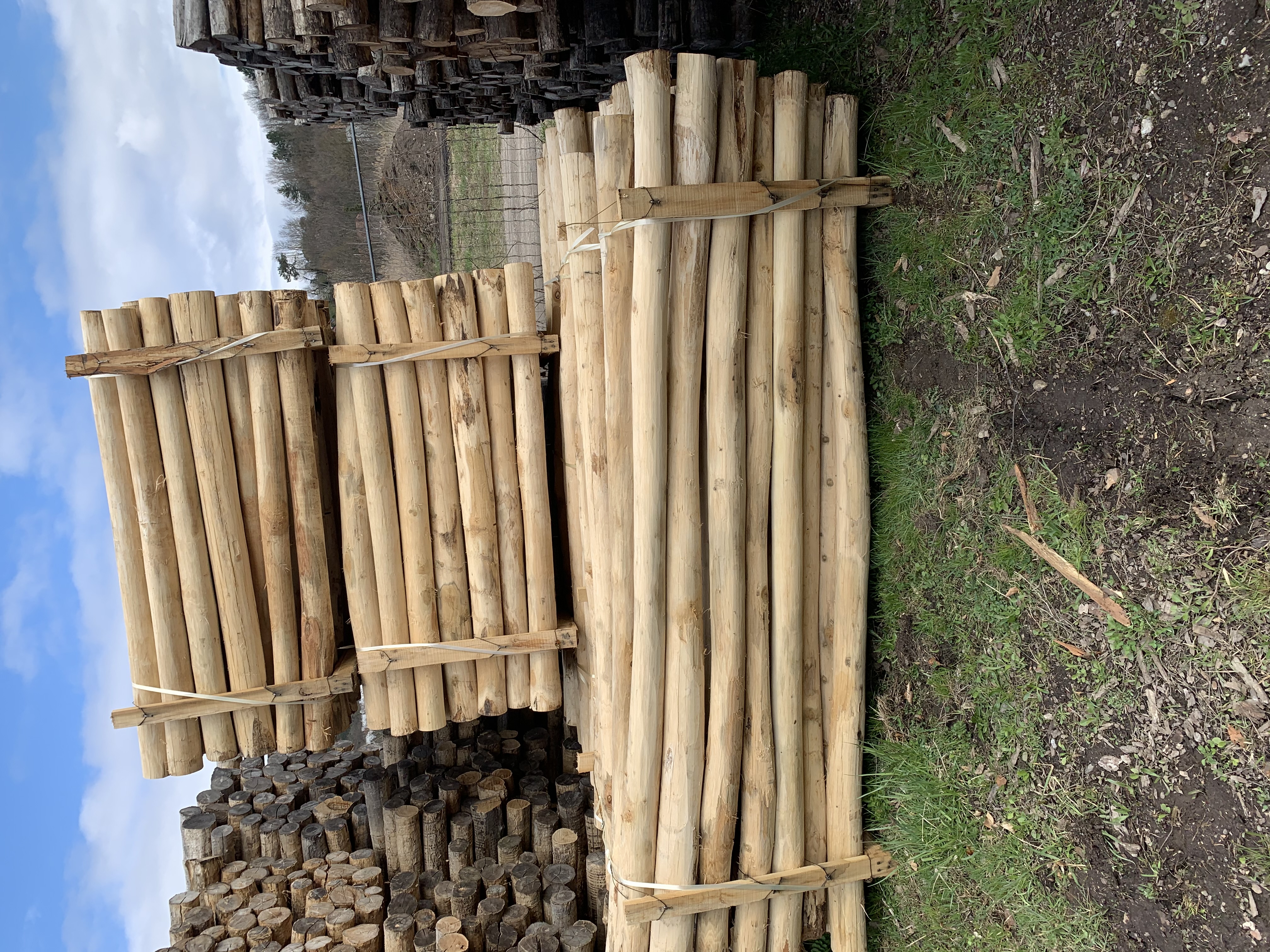 Bild 10 von Anzeige: Akazien/Robinien Pfähle