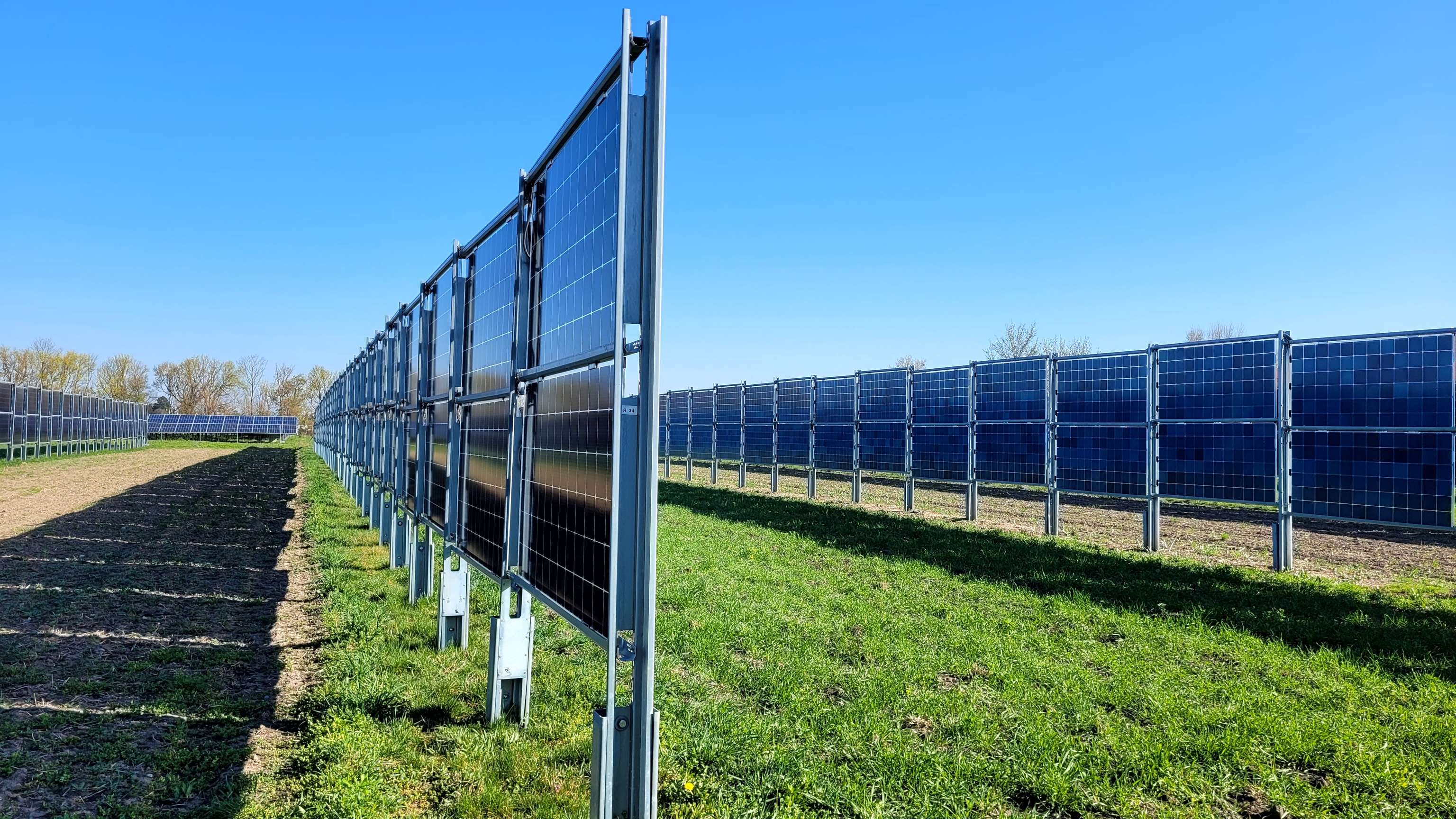 Bifaziale PV-Module auf dem Feld
