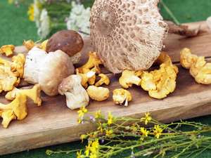 Verschiedene frische Waldpilze, darunter Pfifferlinge und Steinpilze, auf einem Holzbrett mit Wildblumen dekoriert.