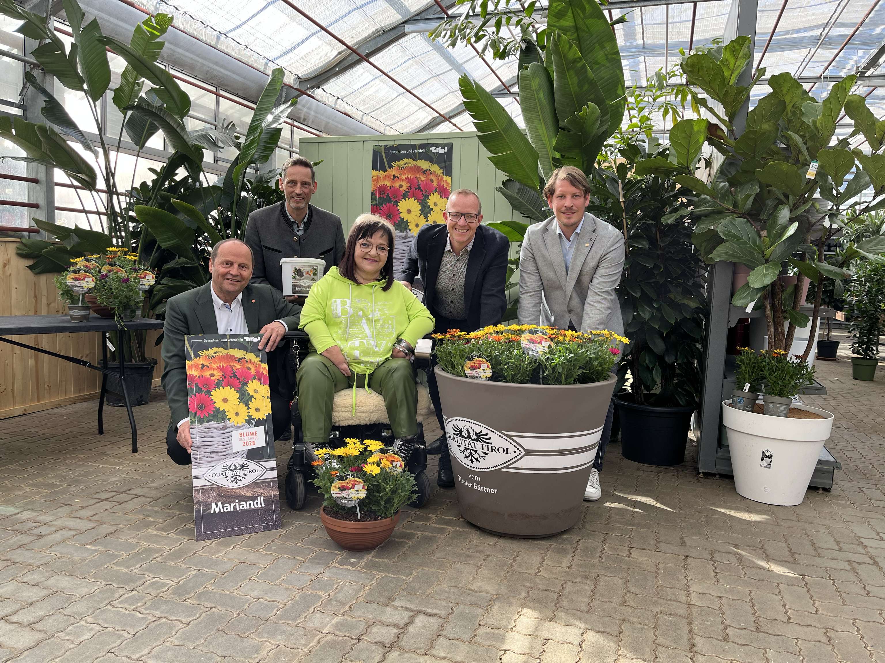 Blume des Jahres 2026