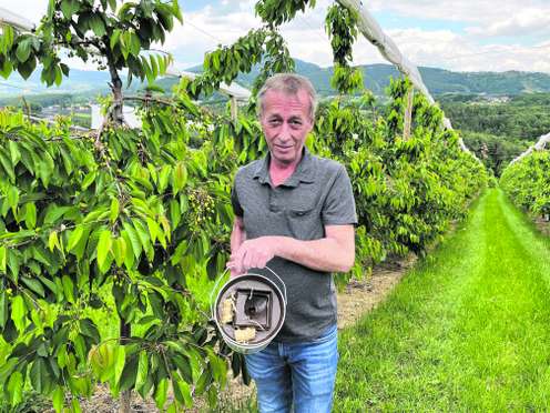 Obstbauer Franz Riegler