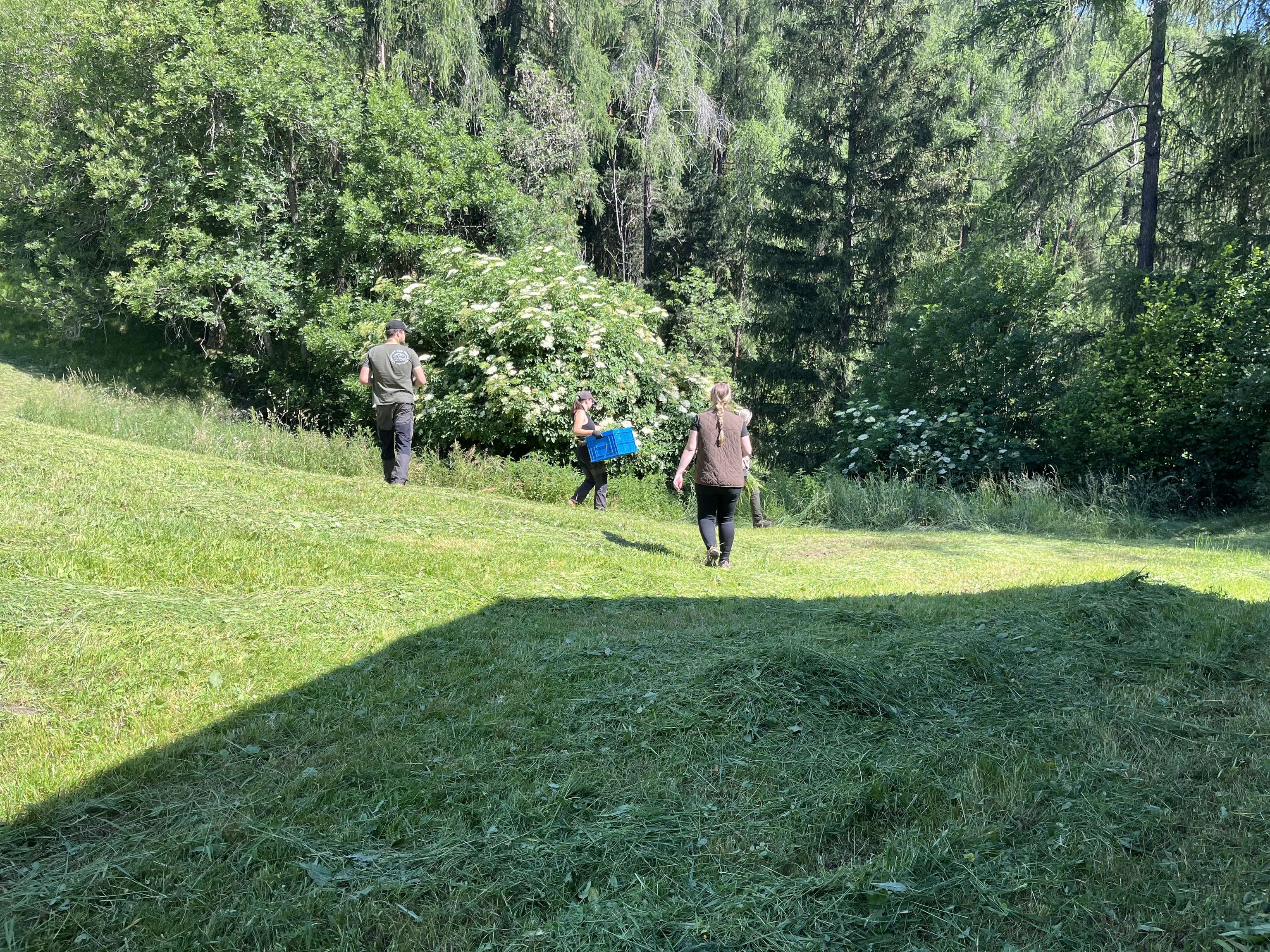 Kitzrettung Tiroler Oberland