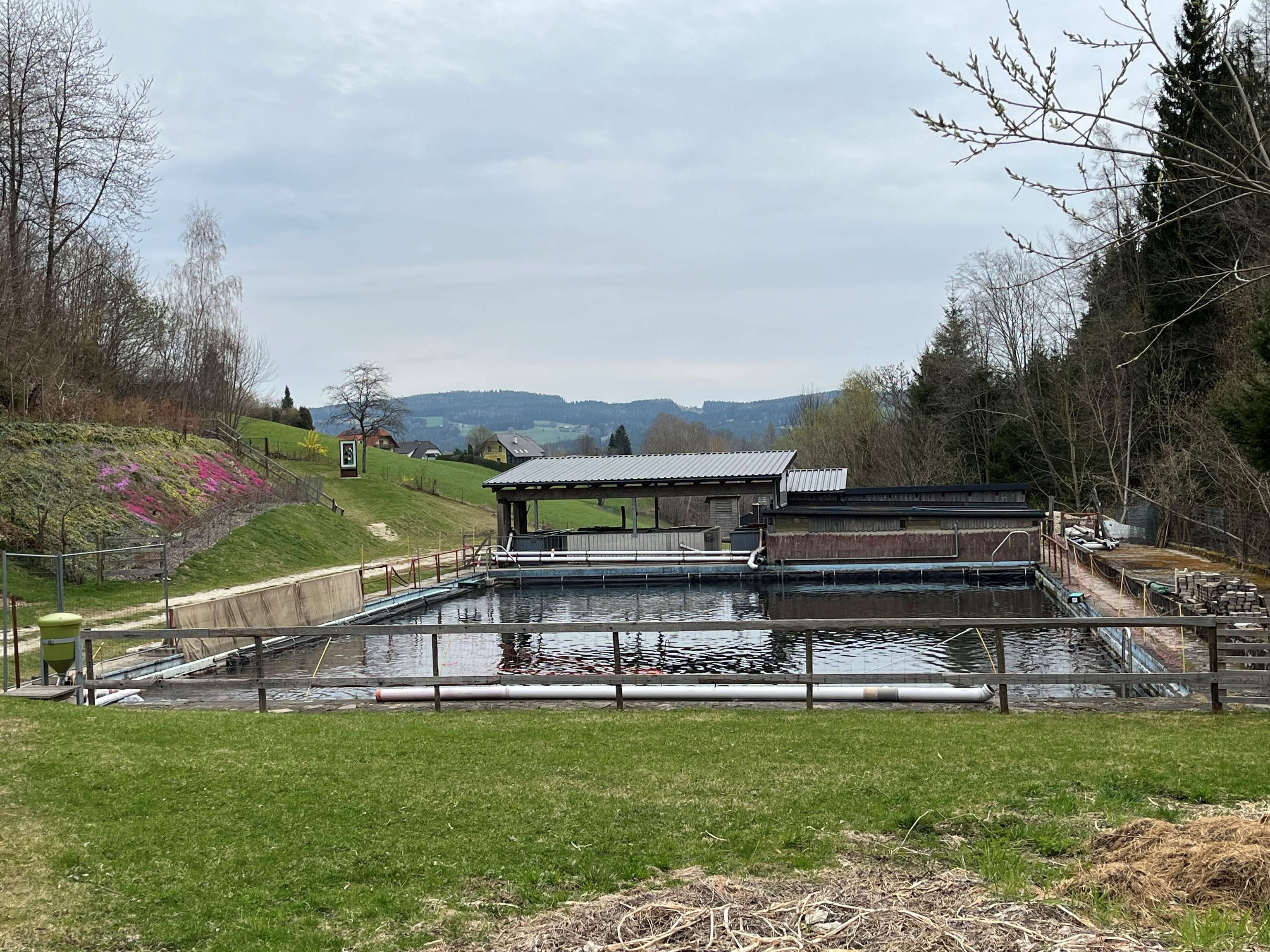Fischzucht in Wenigzell
