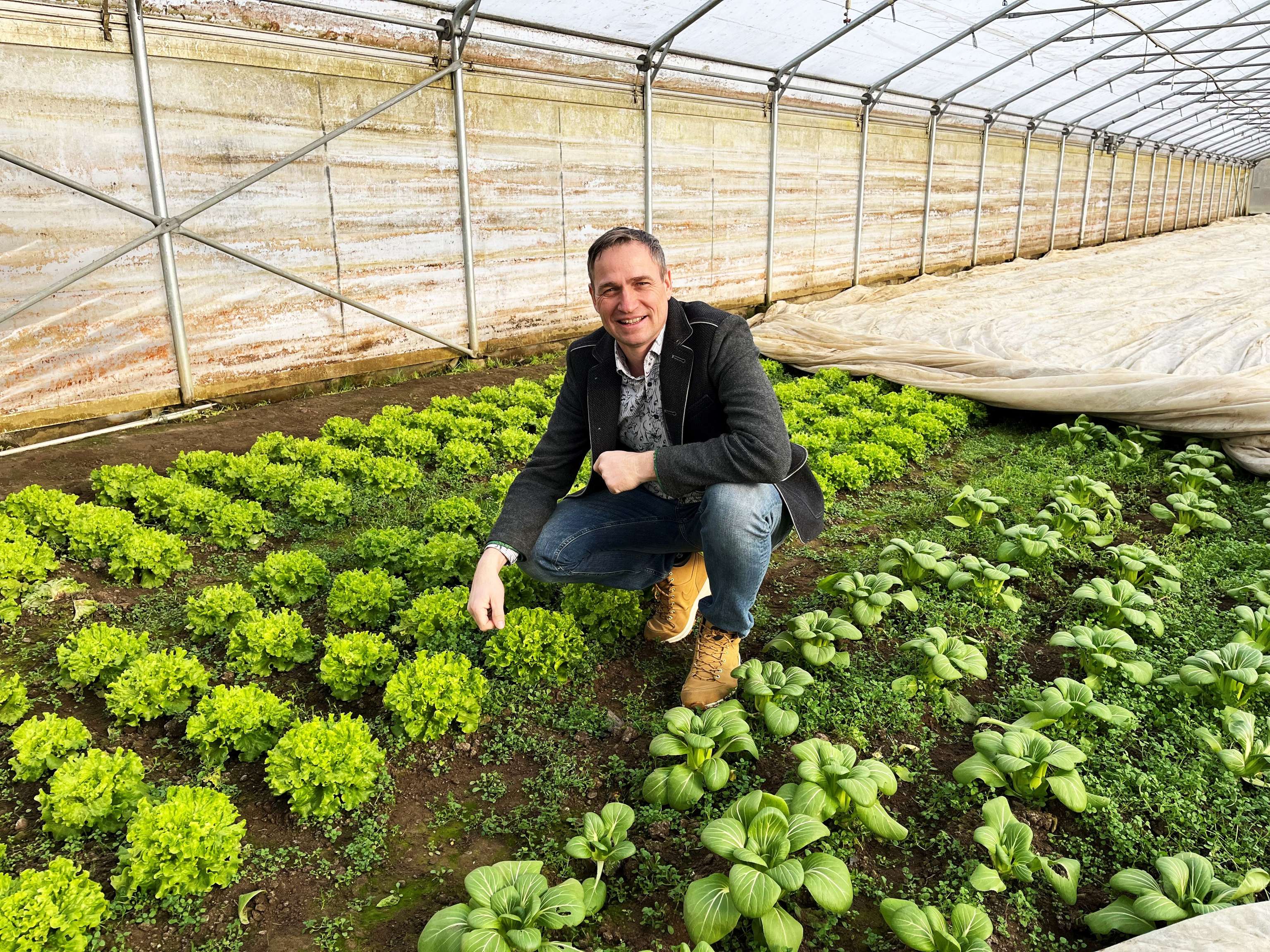 Im Folientunnel startet bereits die neue Gemüse-Saison.