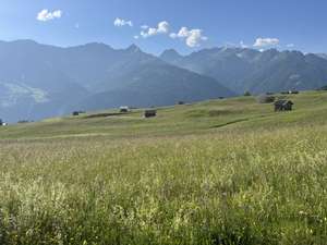 Kitzrettung Tiroler Oberland