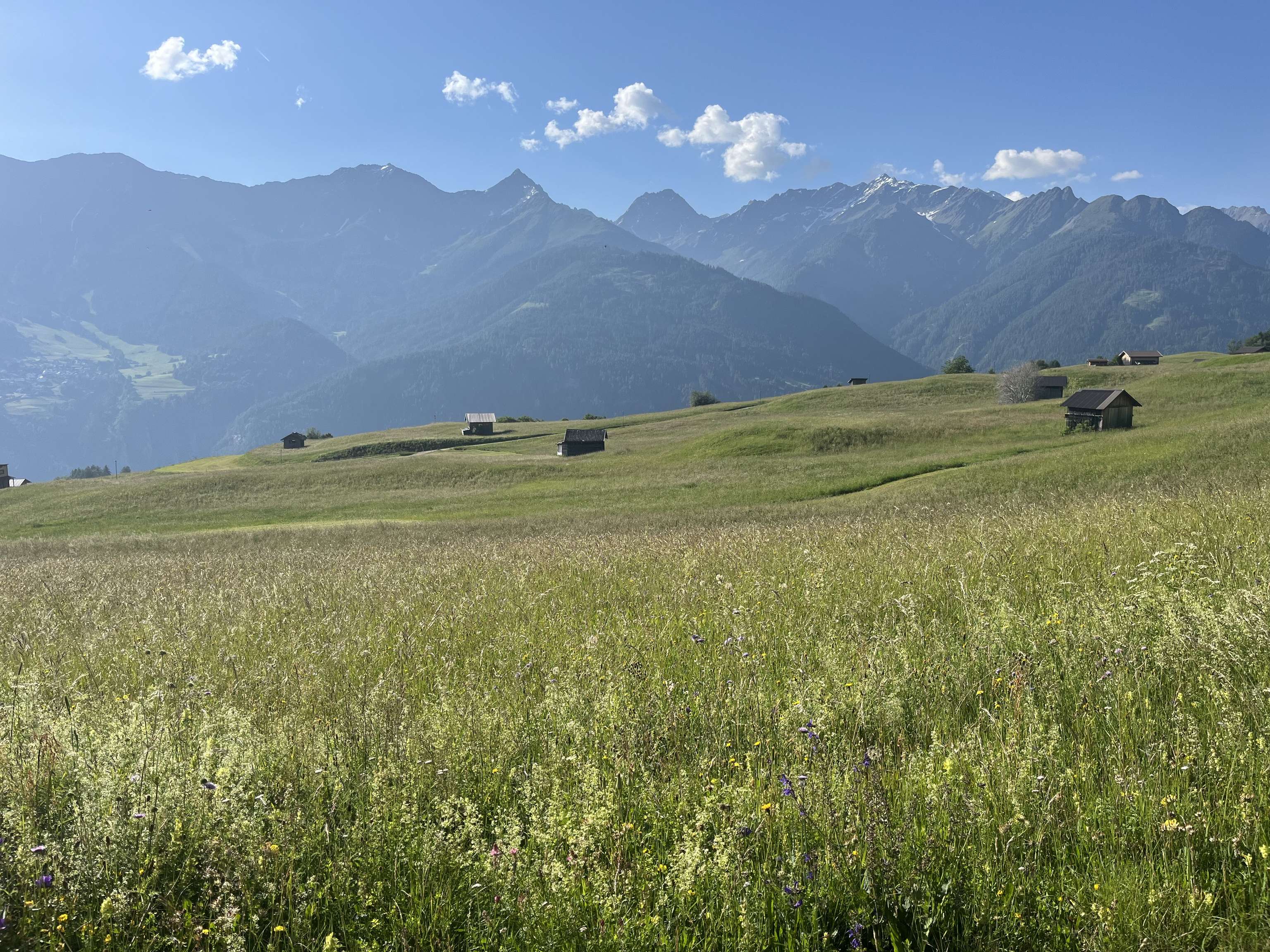 Kitzrettung Tiroler Oberland