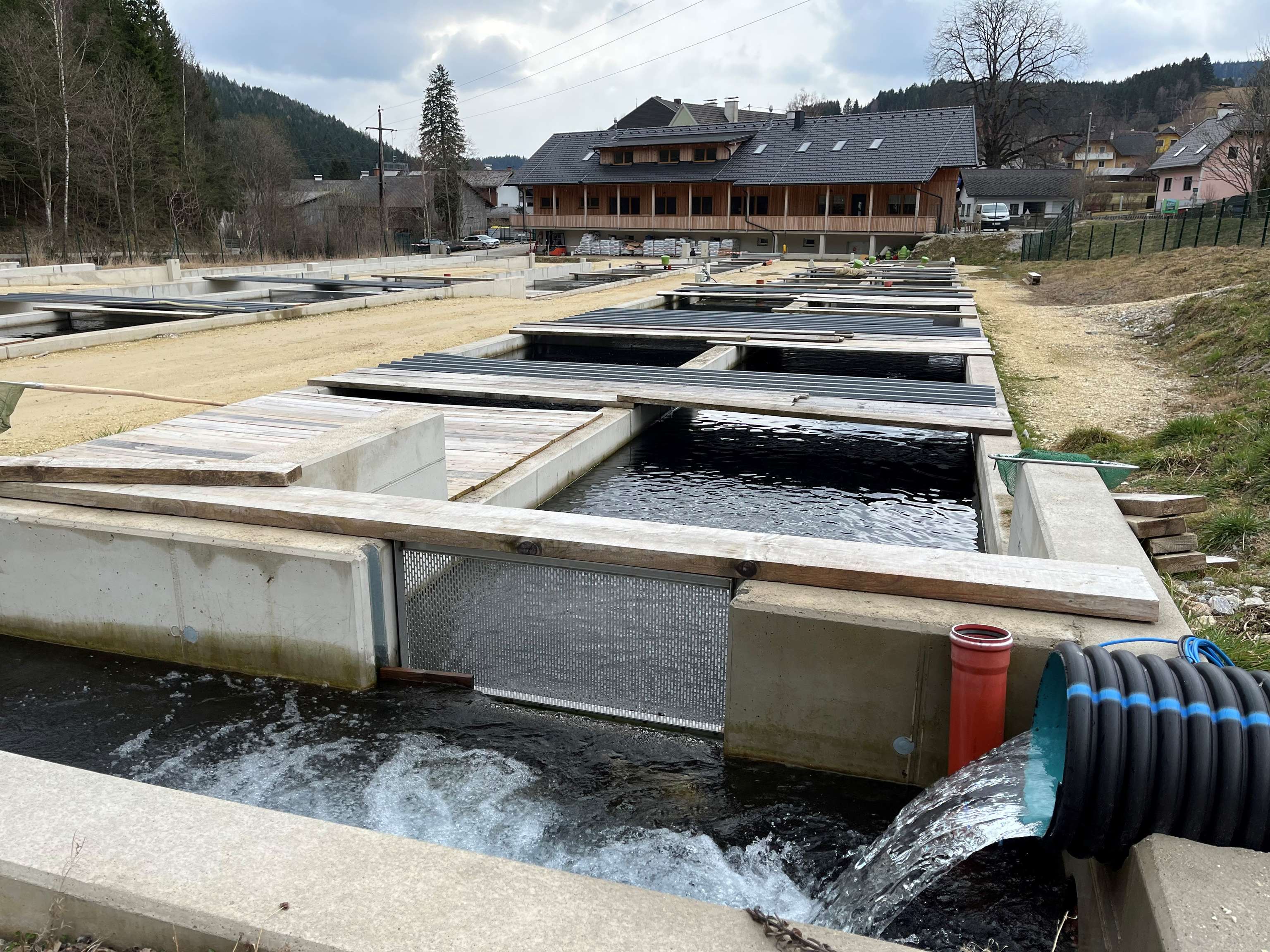 Die Schaufischzucht in Rettenegg