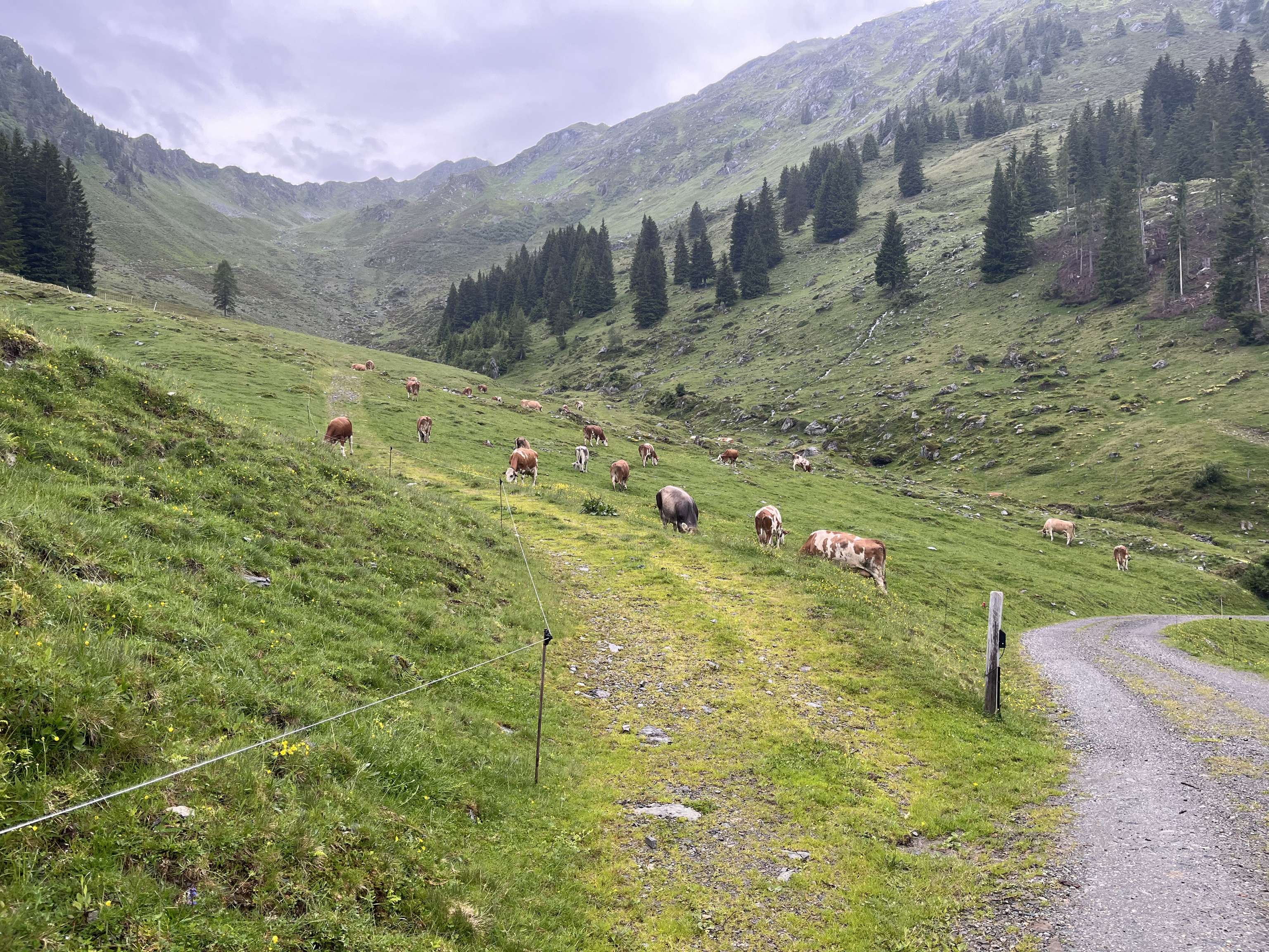 Schwarzachalm