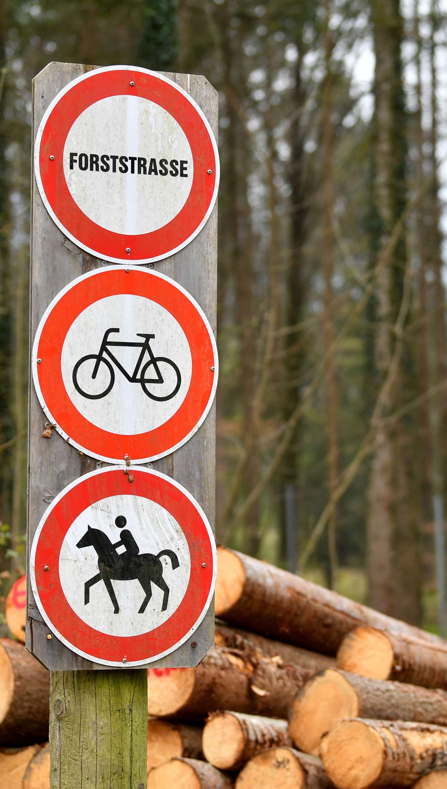 Holzstämme und Verkehrsschilder