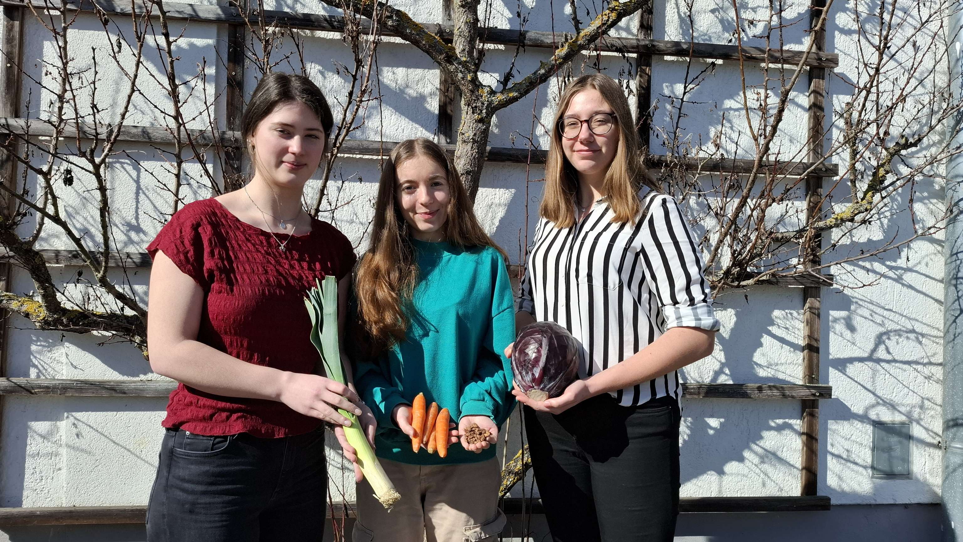 Viktoria Aigner, Theresa Nesslinger und Katharina Reitner