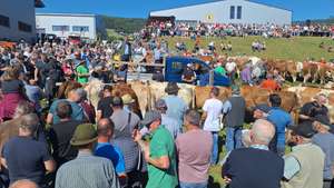 Sehr viele Menschen beim Ägydimarkt in Fischbach