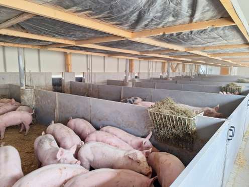 Innenraum vom Tierwohlstall