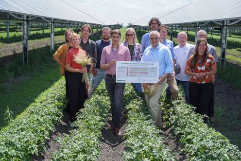Personen in einer Agri-PV-Anlage