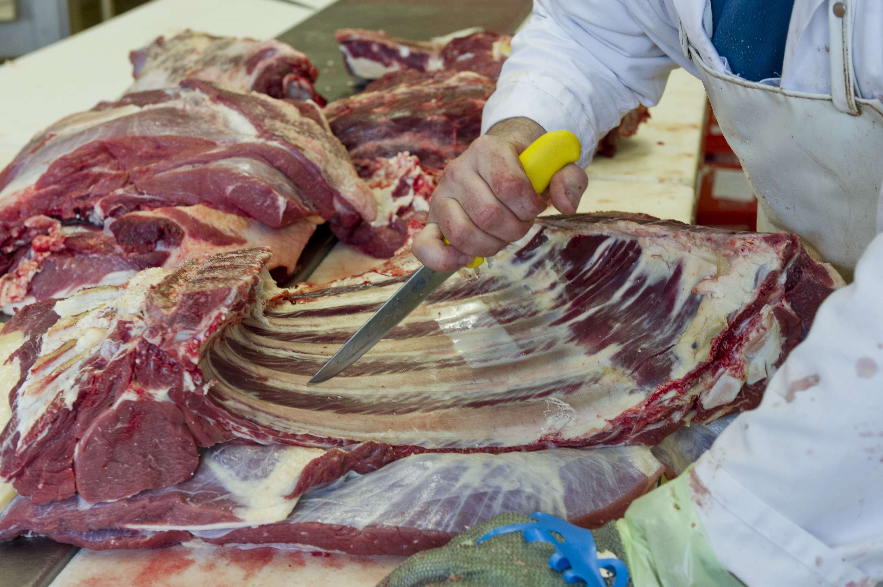 Rind Zerteilen 10 ID54204