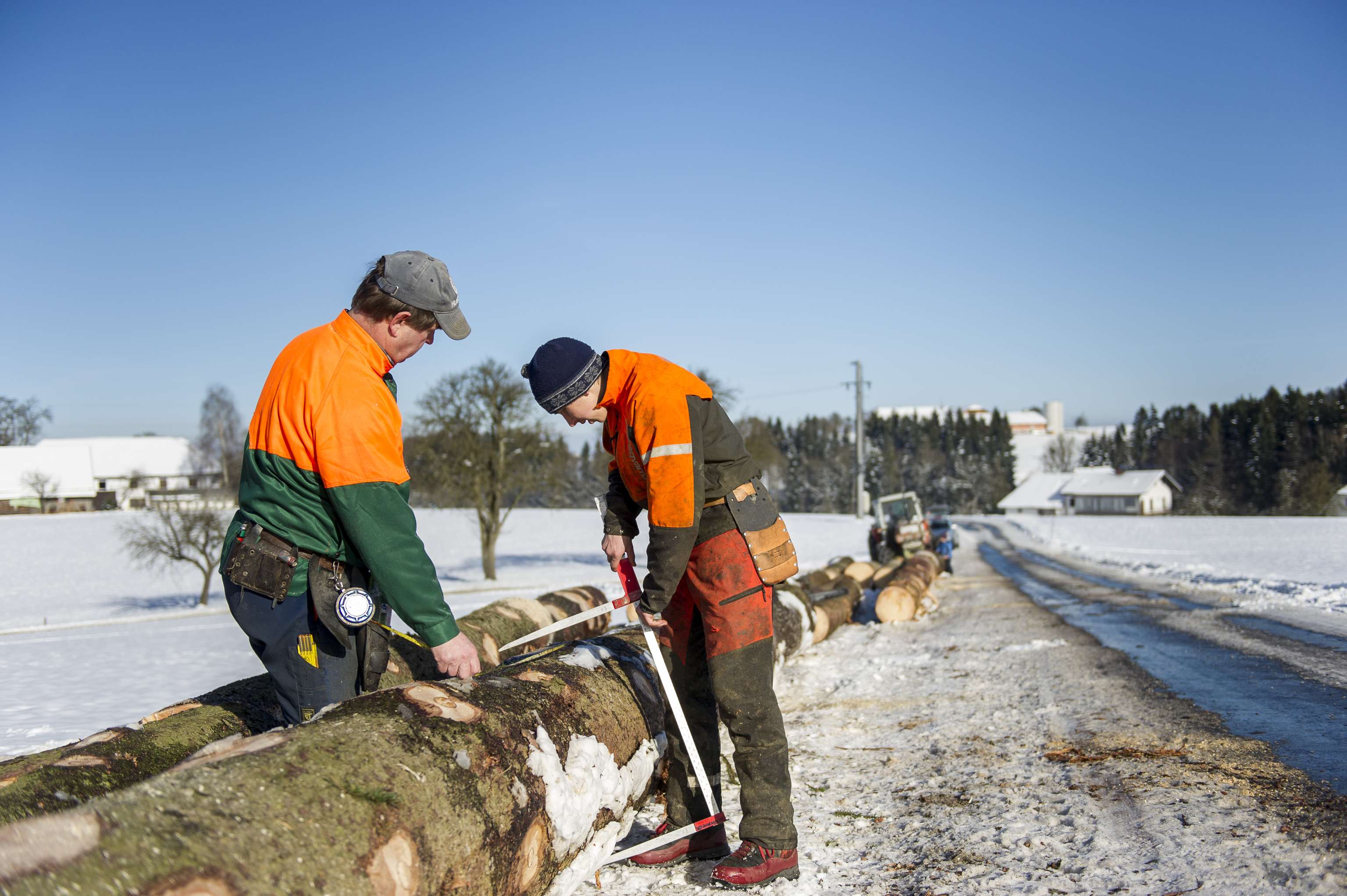 Ein Baumstamm wird gemessen.