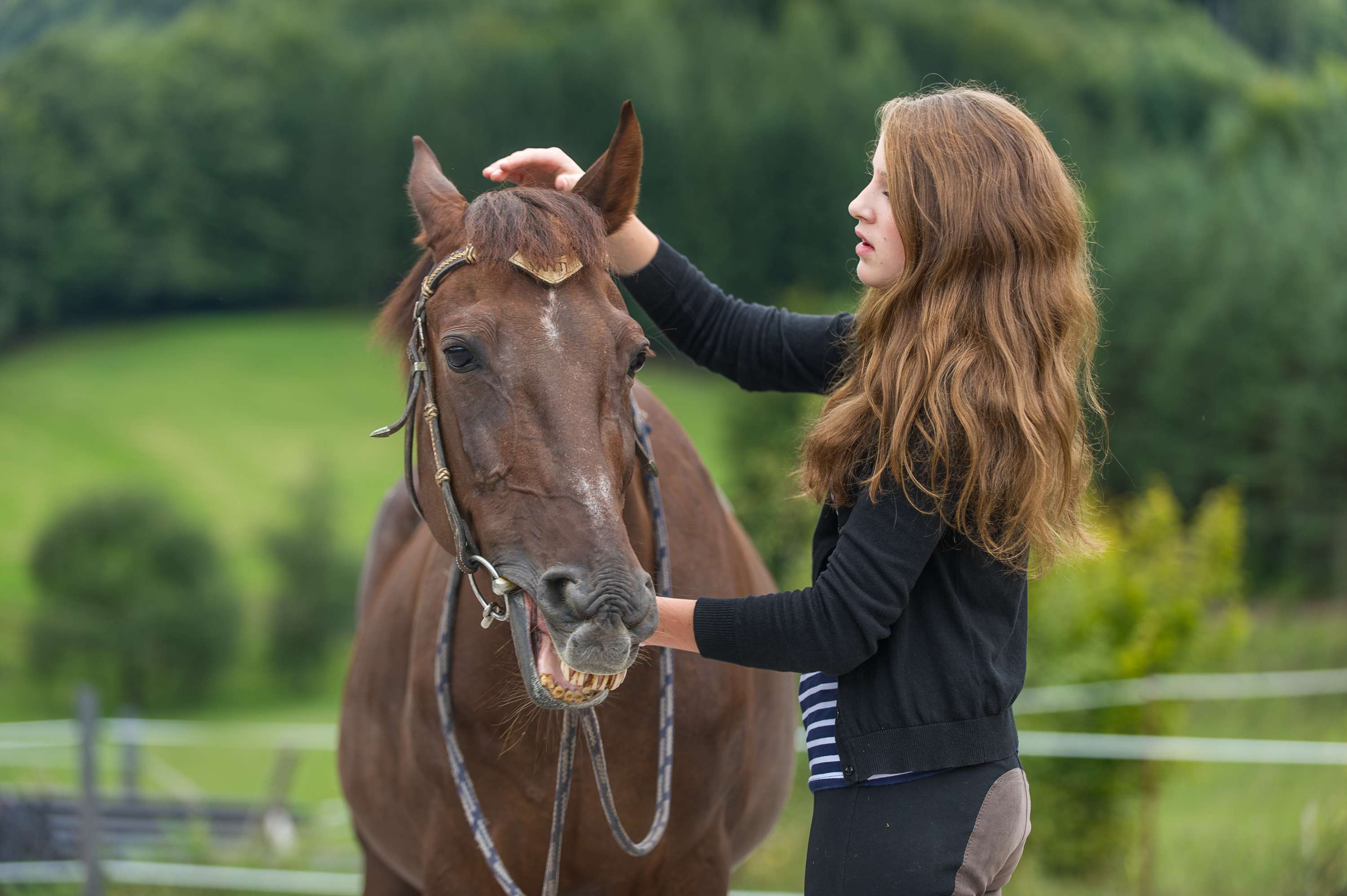 Vorbereitung für Ausritt Mädchen Pferd