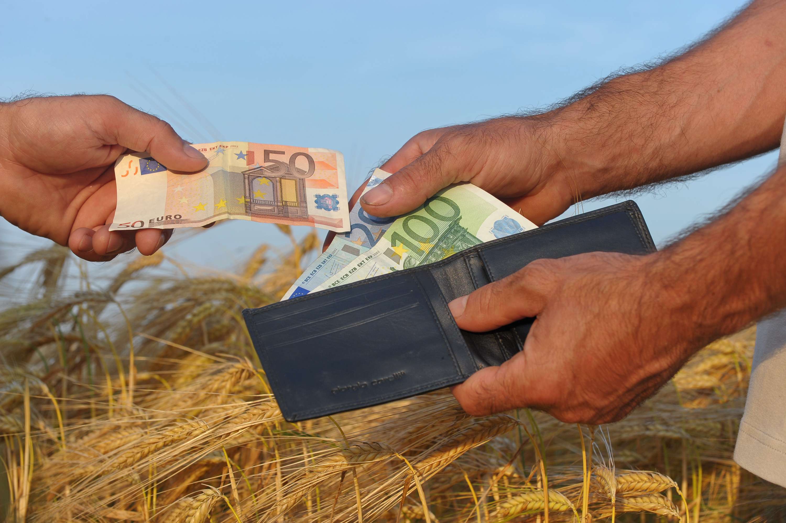 Zwei Hände greifen nach Geldscheinen aus geöffneter Geldbörse.