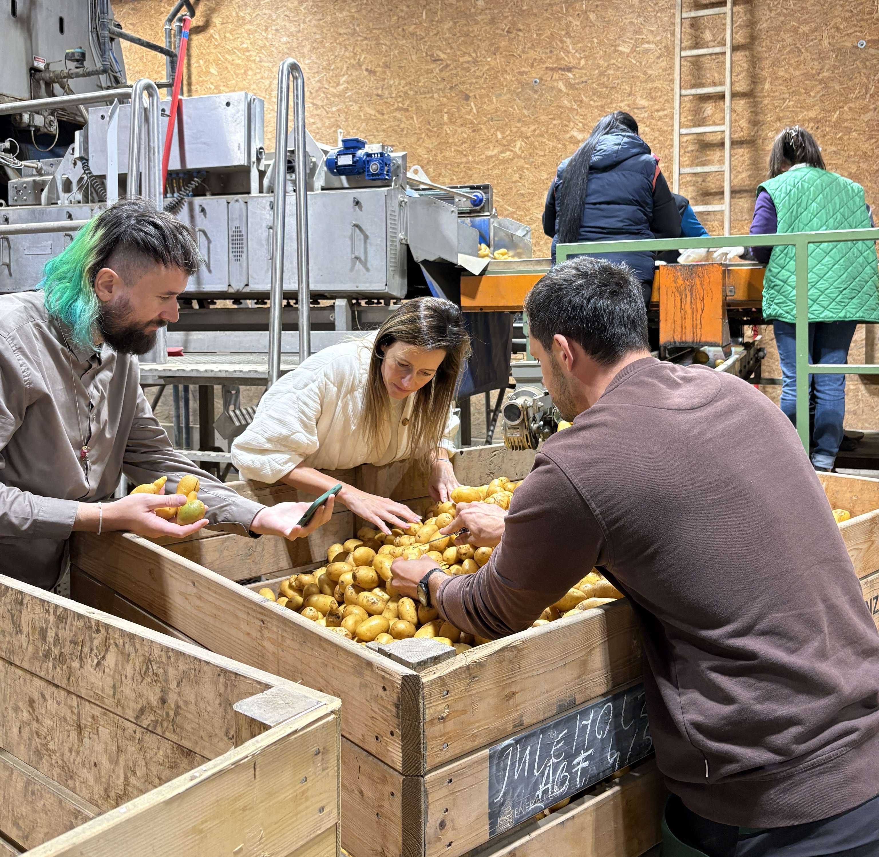 Drei Personen sortieren Kartoffeln in großen Holzkisten in einer Lagerhalle, im Hintergrund arbeiten weitere Personen an Maschinen.