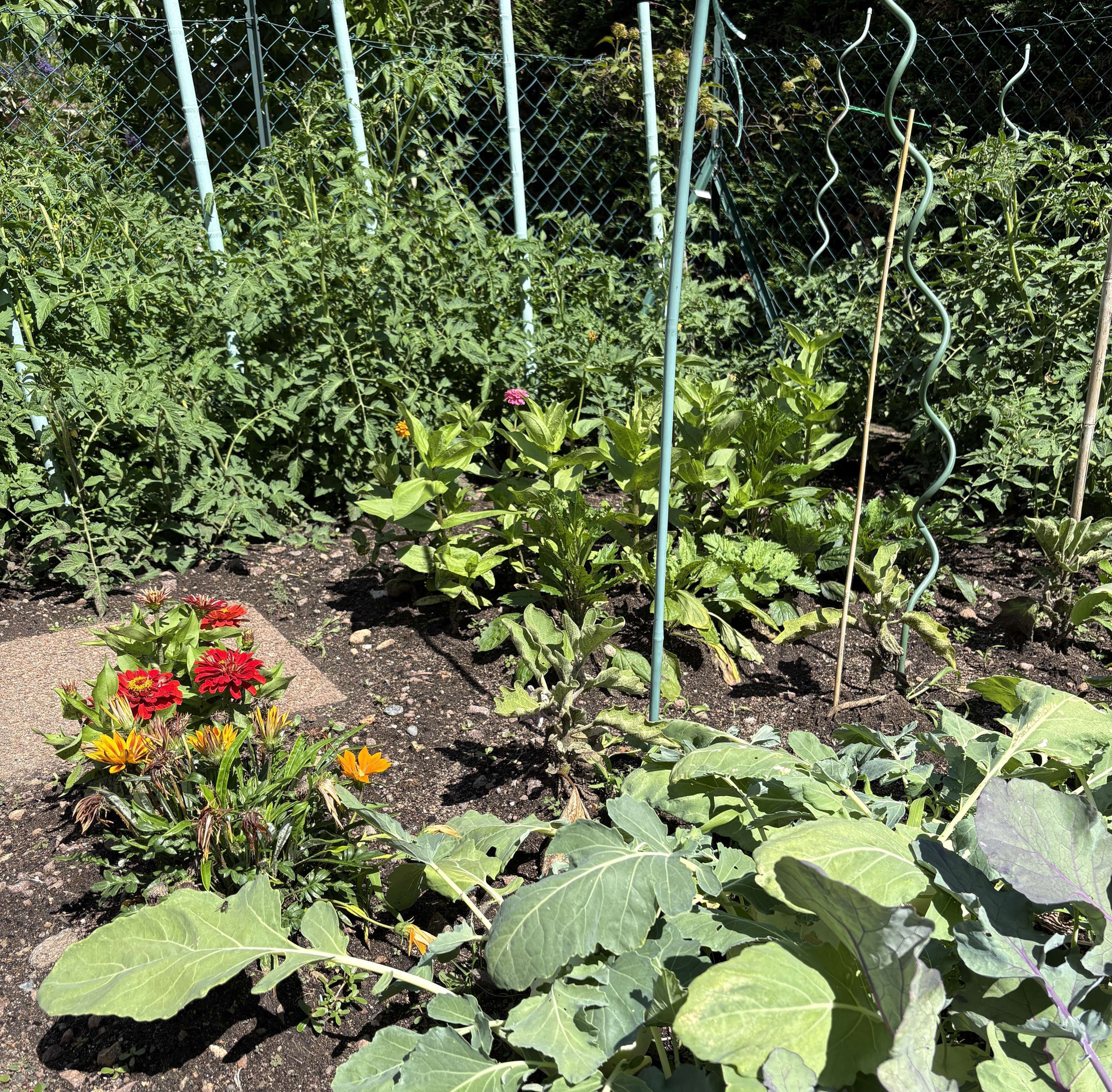 Gemüsegarten