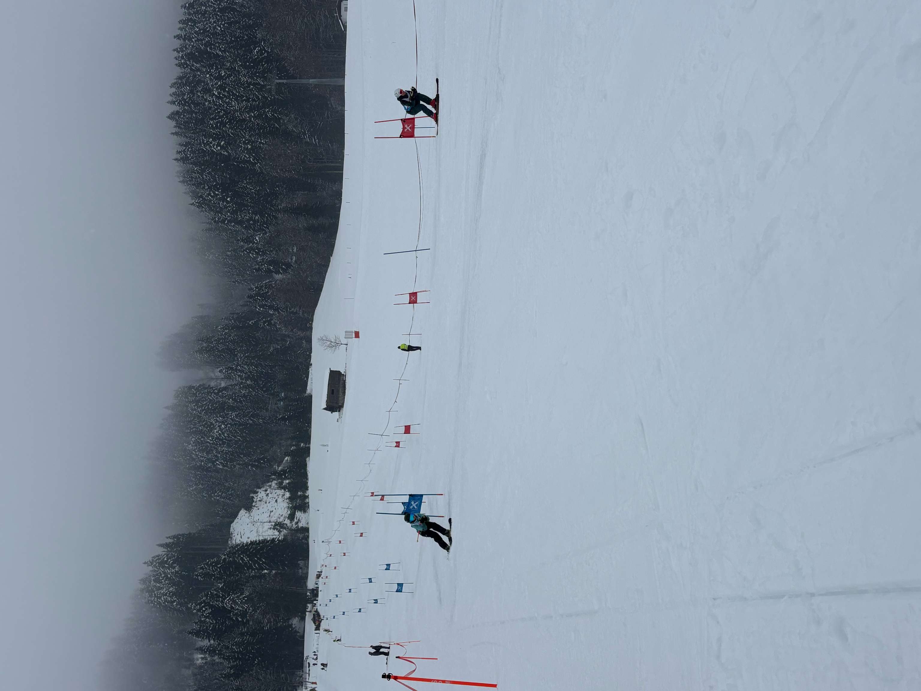 Skiers navigating a slalom course on a snowy mountain, with foggy sky and snow-covered trees in the background.