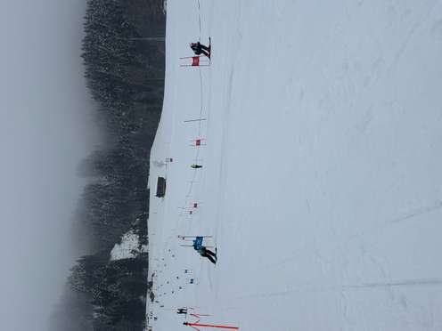 Skiers navigating a slalom course on a snowy mountain, with foggy sky and snow-covered trees in the background.