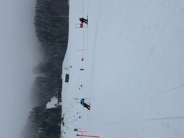 Skiers navigating a slalom course on a snowy mountain, with foggy sky and snow-covered trees in the background.