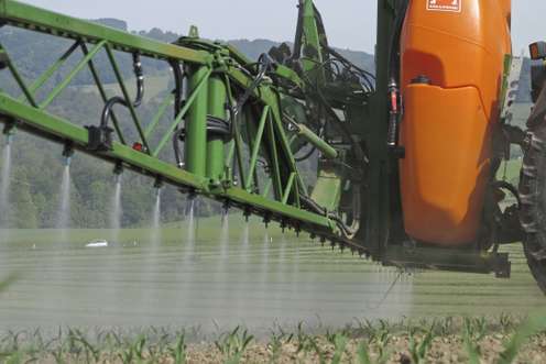 Pflanzenschutz bei Mais