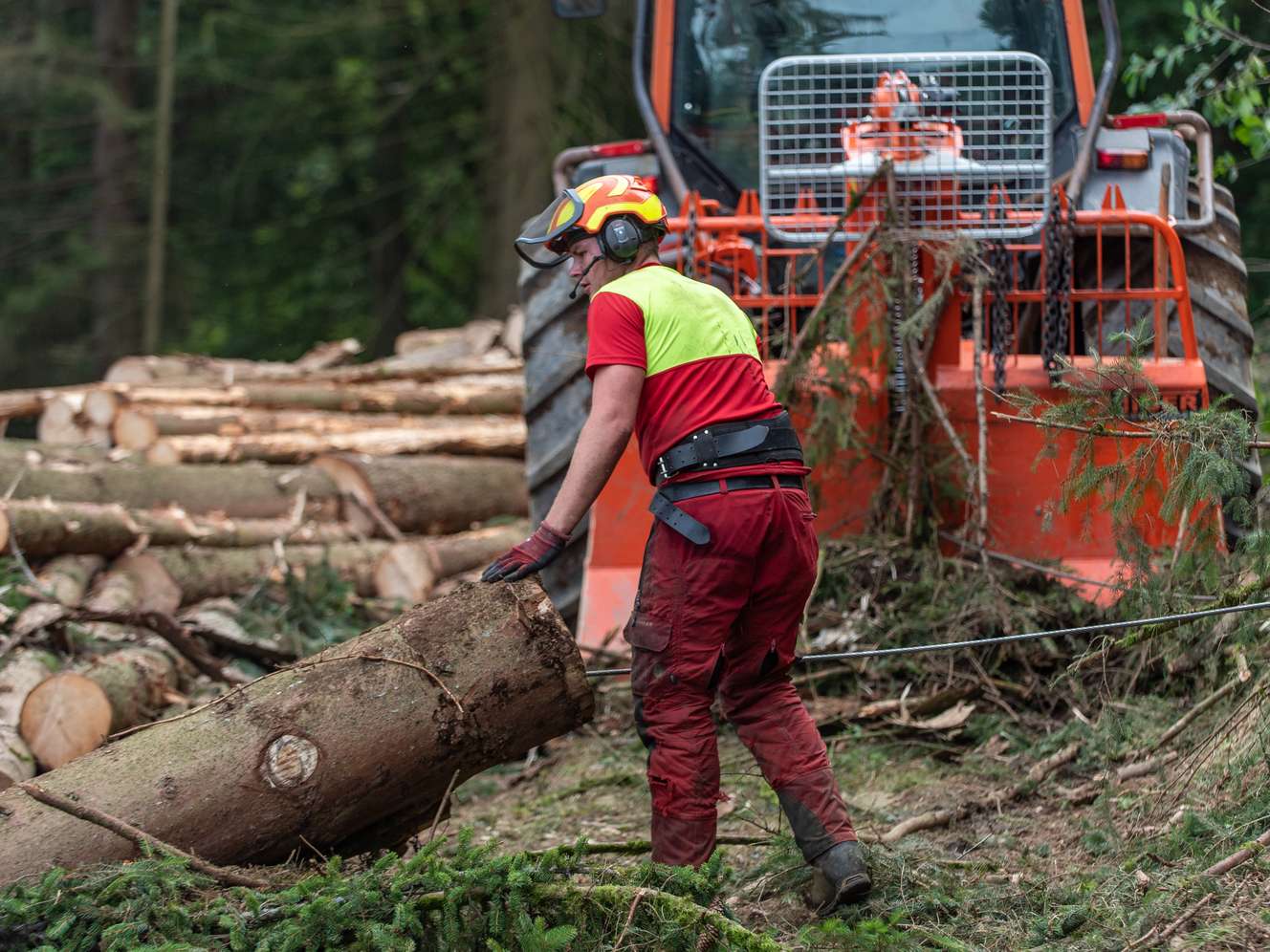 Holzbringung
