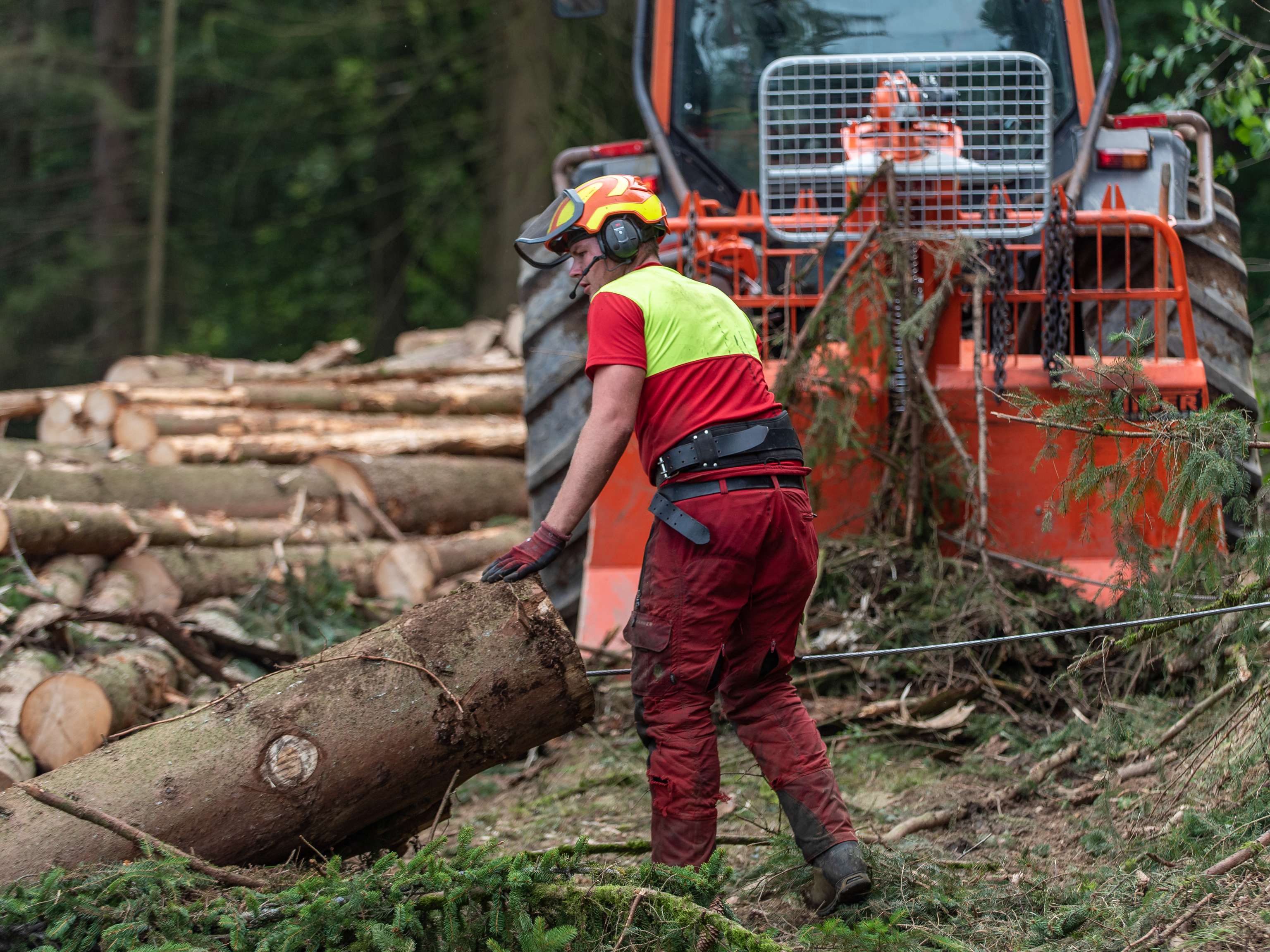Holzbringung