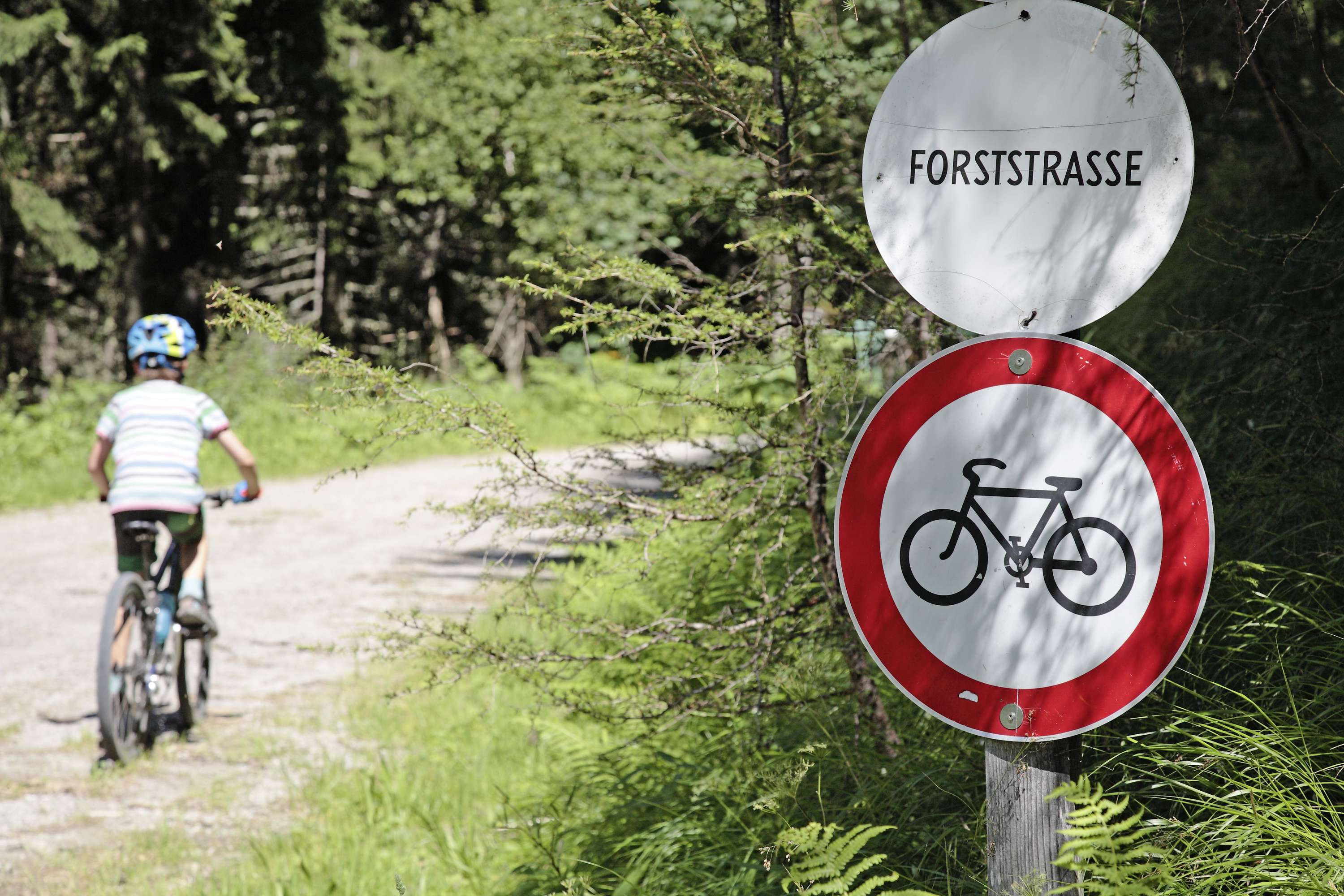 Kinder fährt auf Rad im Wald
