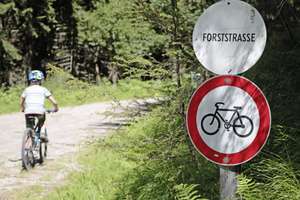 Kinder fährt auf Rad im Wald