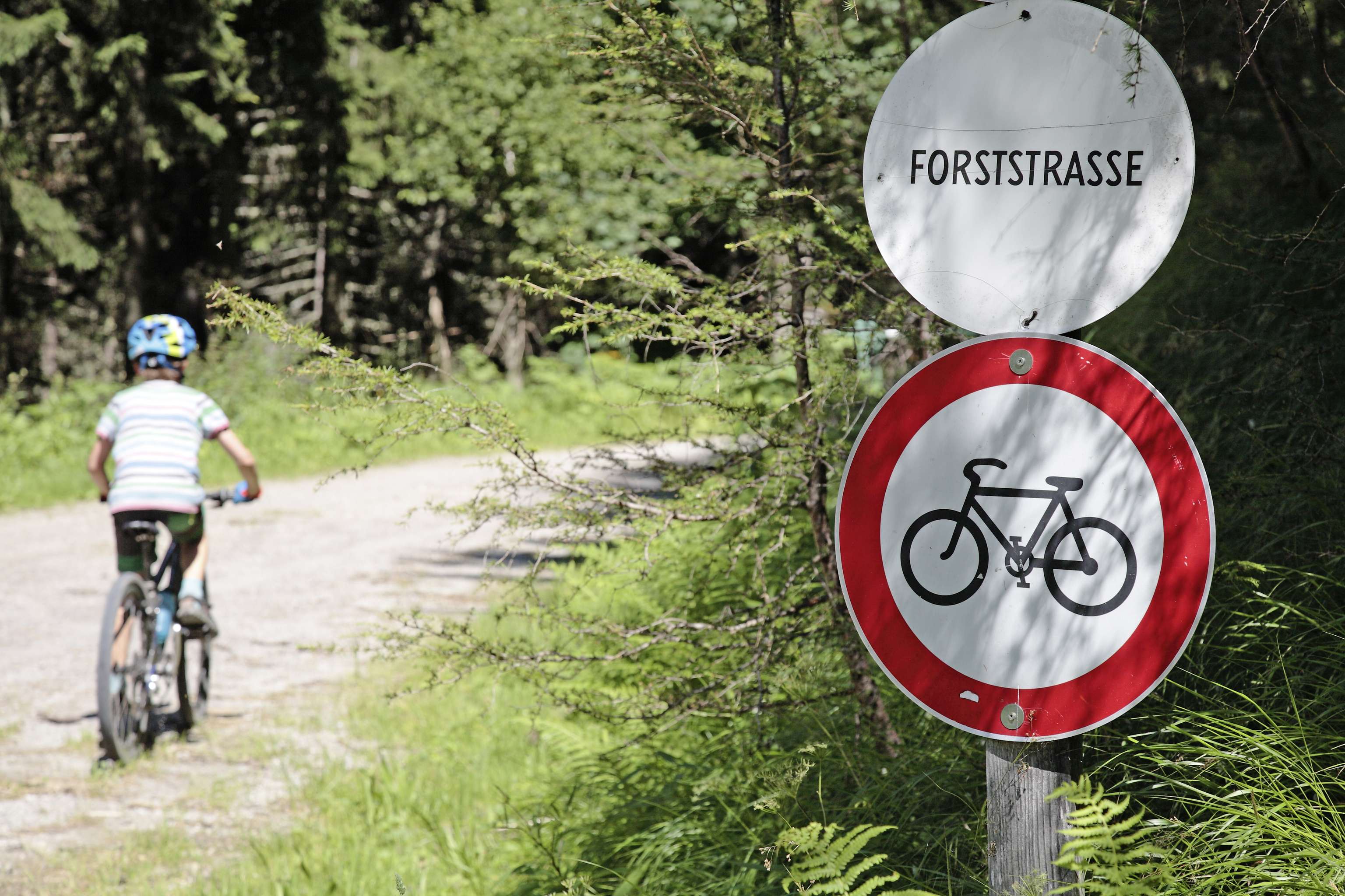Kinder fährt auf Rad im Wald