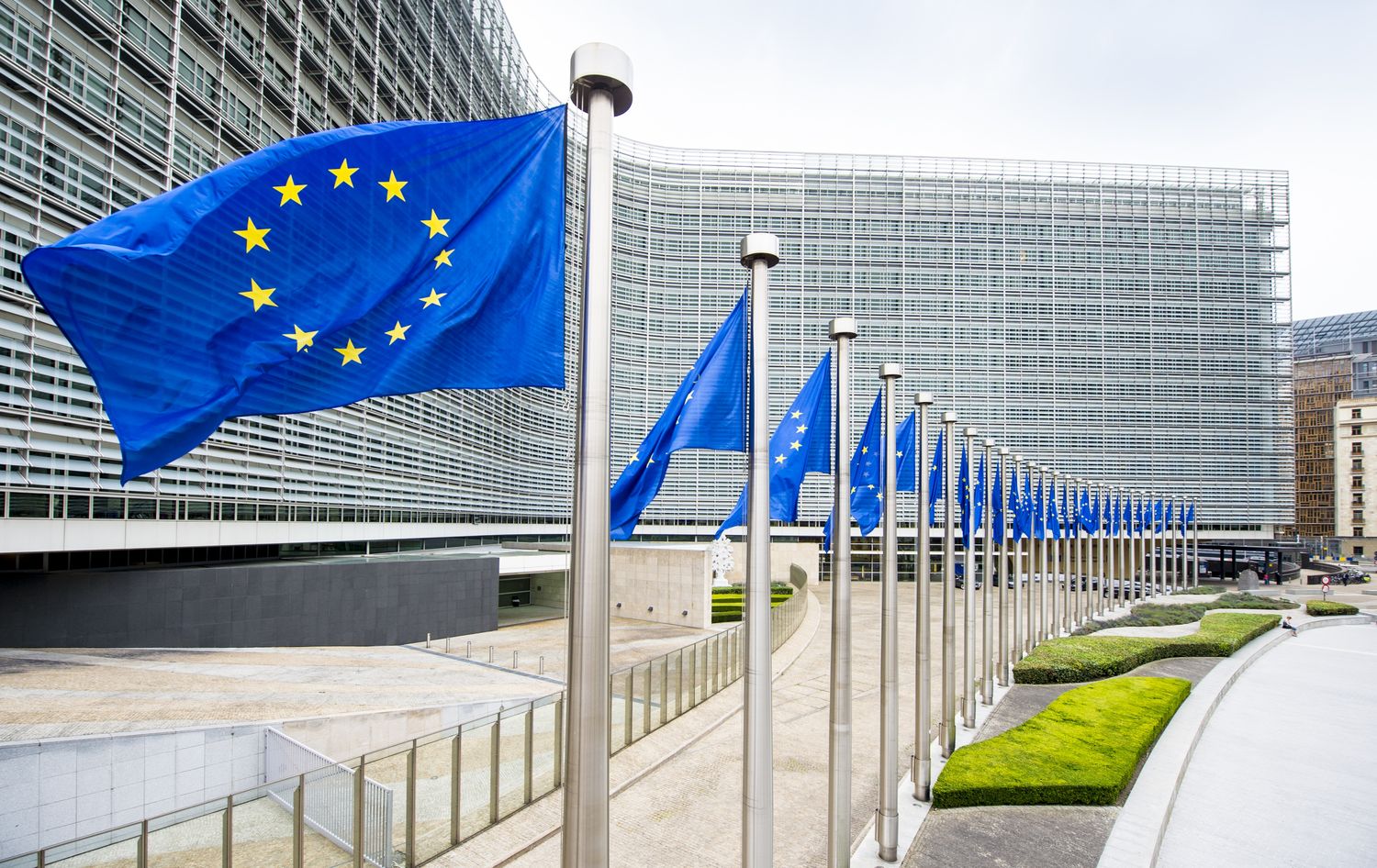 Die bedrohliche Lage bei der Afrikanischen Schweinepest wird in Brüssel besprochen. Foto: European Union/Etienne Ansotte
