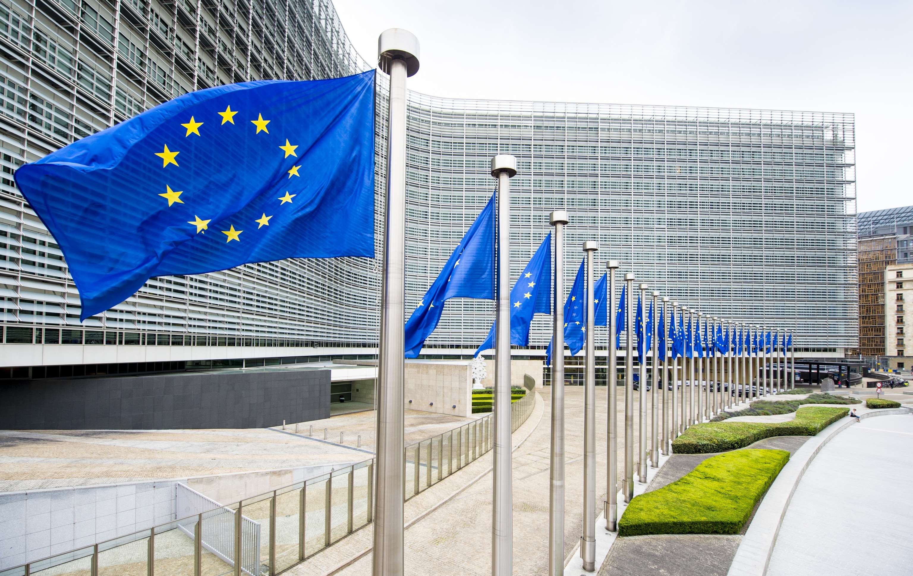 Drapeaux Berlaymont