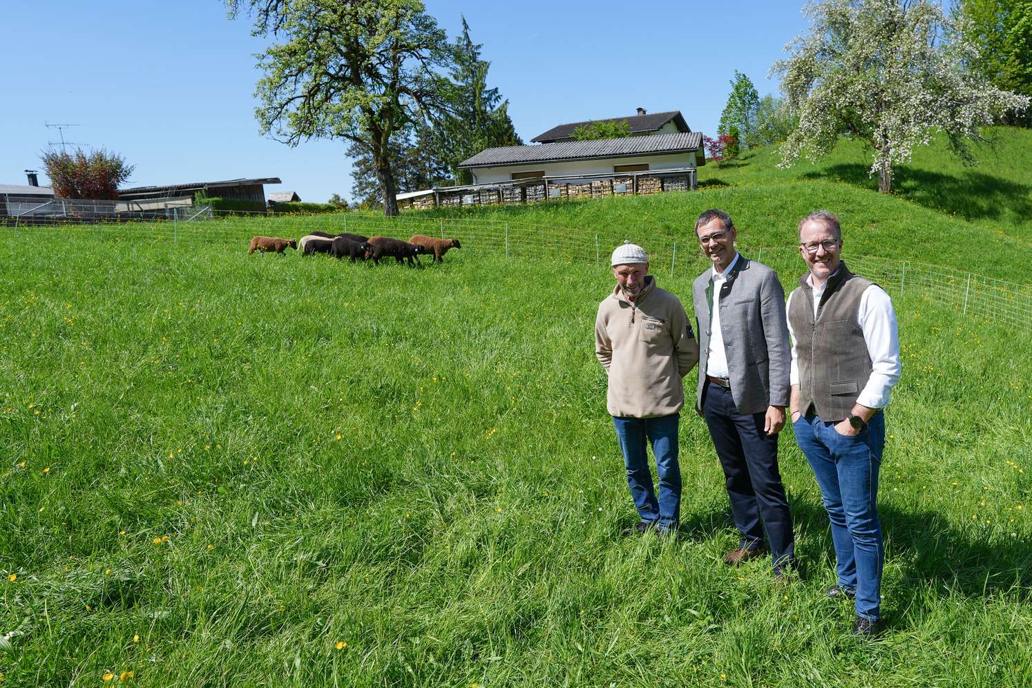 Pk Wolf Vorarlberg