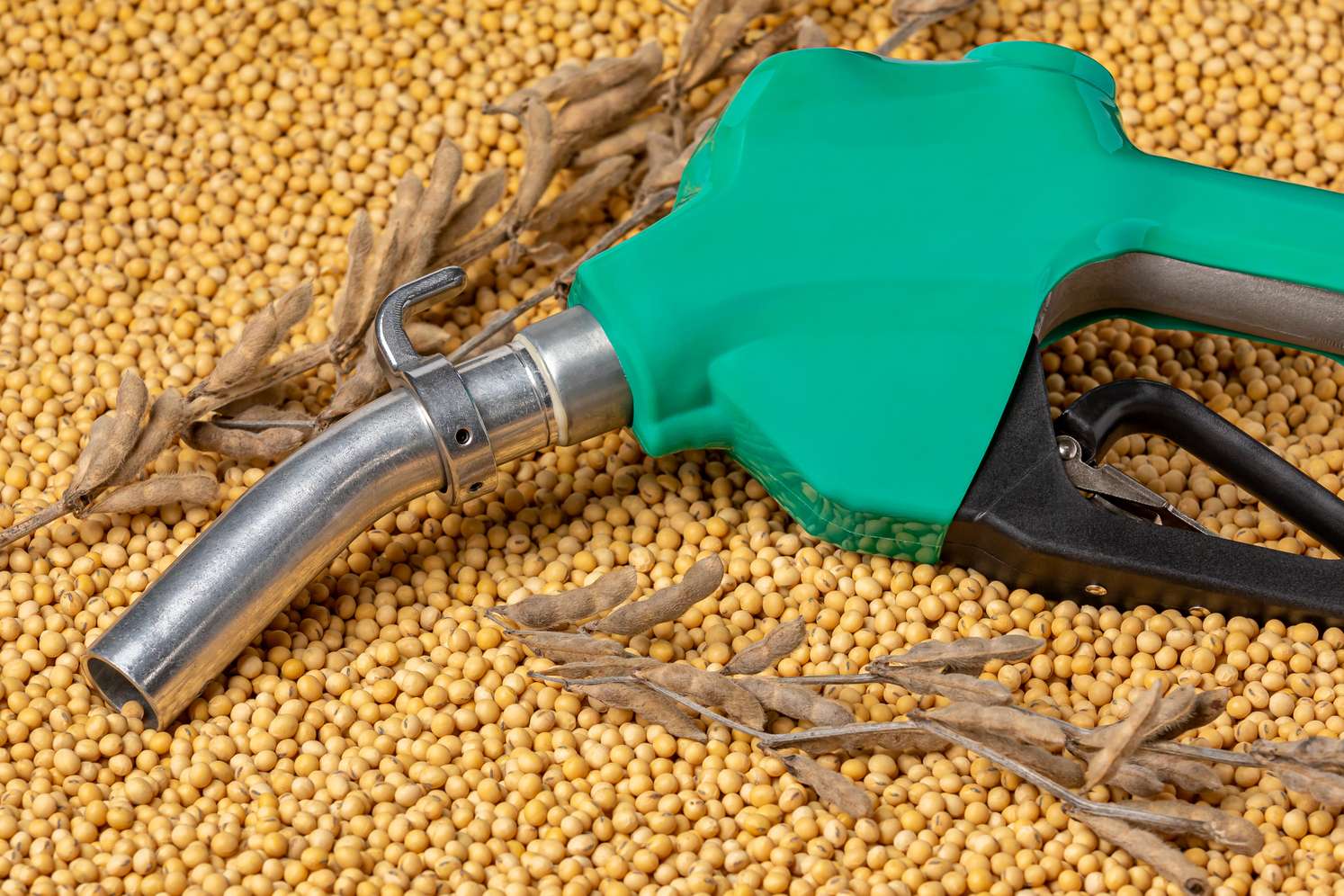 Biodiesel und Soja