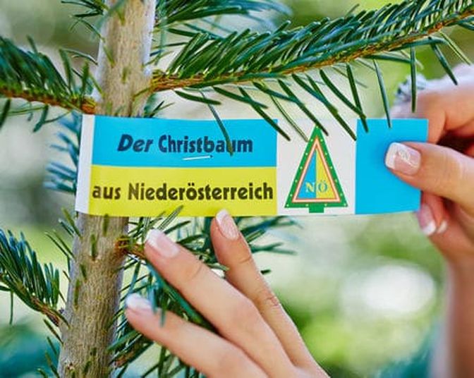 Garantierte Herkunft – in jedem Bundesland gibt es eine Herkunftskennzeichnung mittels Schleife.