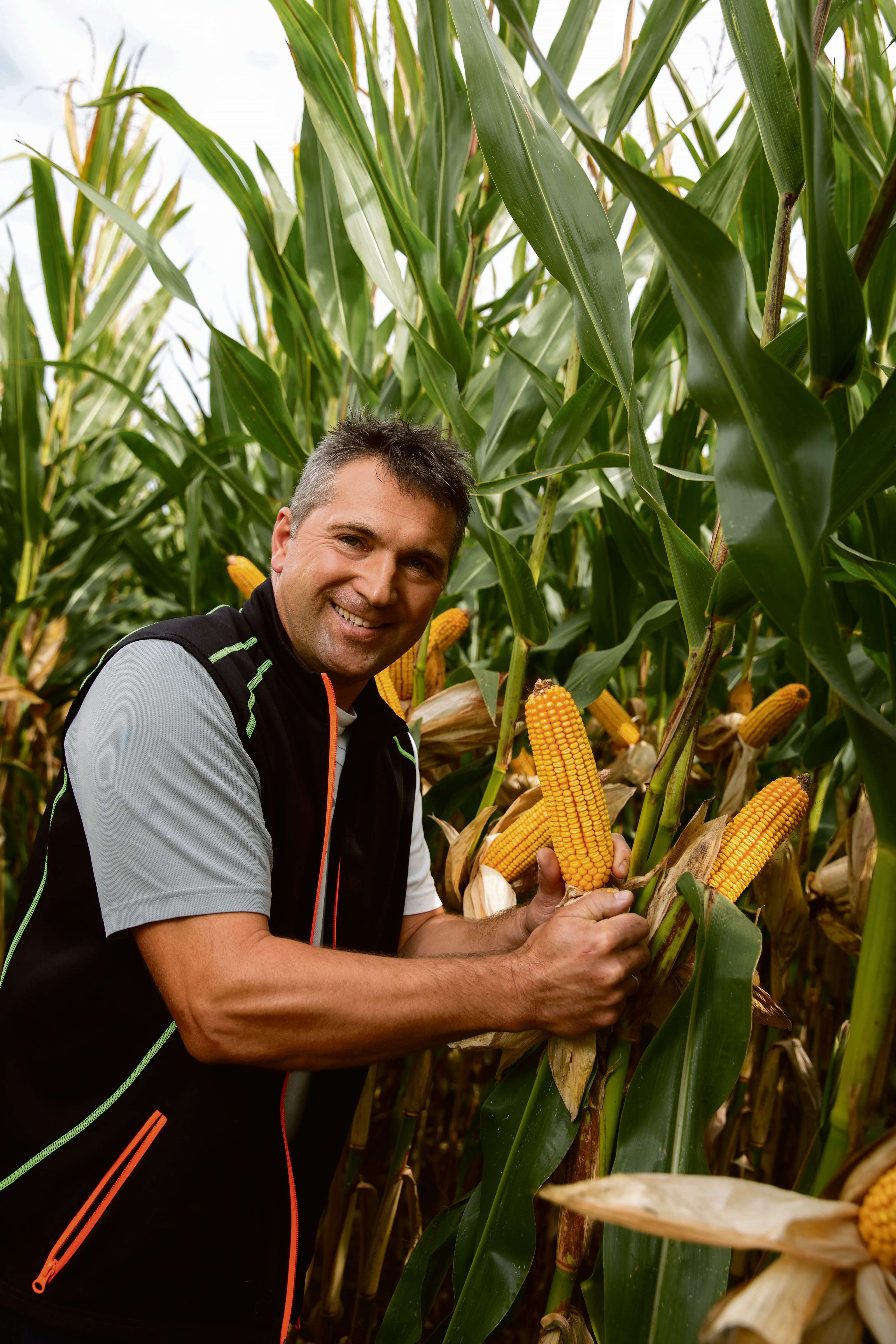 Für jeden Landwirt die passende Sorte: Die Saat
