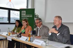 Haider, Langer-Weninger, Waldenberger, Wallner bei Pressekonferenz
