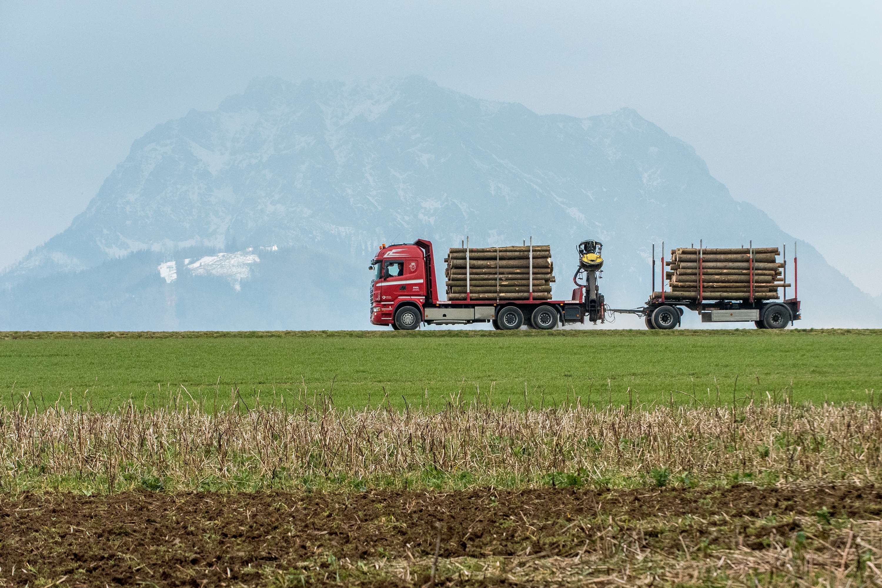 Holztransport mit Lkw