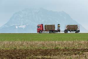 Holztransport mit Lkw