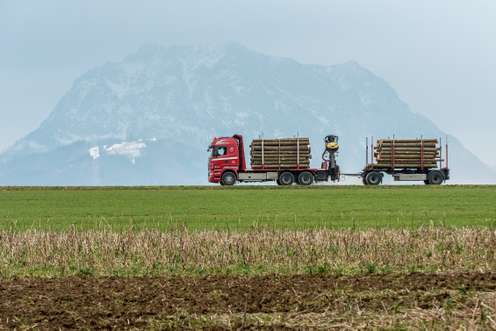 Holztransport mit Lkw