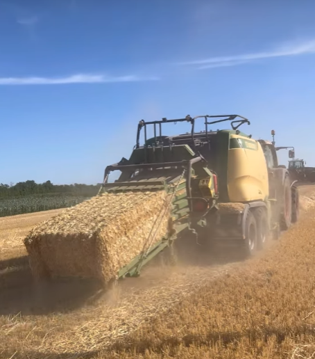 Bild von Anzeige: Stroh Ernte 2026